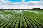 Agricultural irrigation